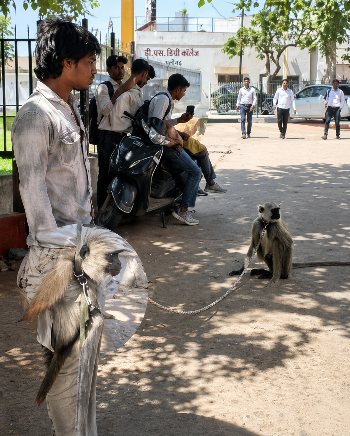 अलीगढ़ के डिग्री कॉलेज में बंदरों से निपटने का अनोखा तरीका, ‘गोलू’ लंगूर बना गार्ड