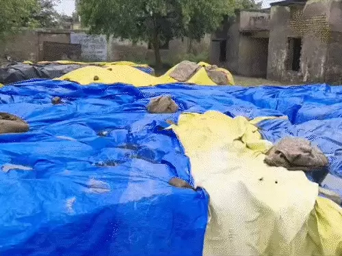 गाजियाबाद में ओलावृष्टि, नोएडा-प्रयागराज में झमाझम बारिश