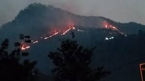 उत्तराखंड में जंगल की आग का कहर, लपटों में घिरी महिला की दर्दनाक मौत
