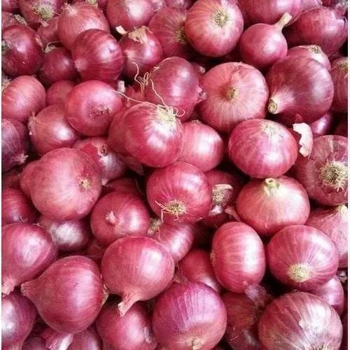 प्याज की बढ़ती कीमतों ने बढ़ाई महंगाई की चिंता, सरकार ने शुरू की ‘कांदा एक्सप्रेस’